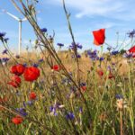 guia para proteger suas flores