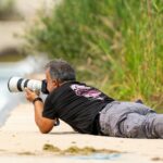 Para compreender o impacto da sustentabilidade no mercado de móveis em 2026, é crucial reconhecer que ela se tornará um pilar